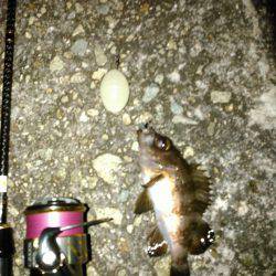 Ｆシステムってなぁーんだの巻